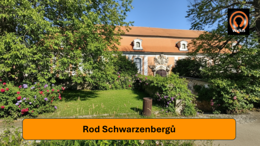 303 001 010 Schwarzenbergové.png