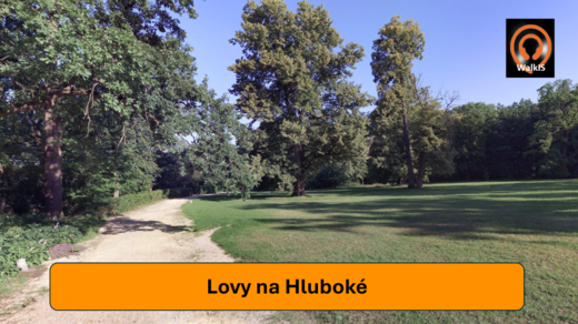 Obrázek14.png